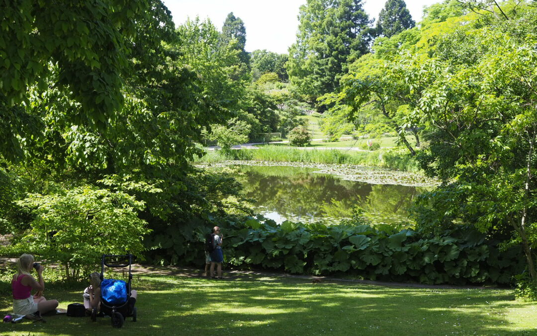 Kopenhagen botanischer Garten